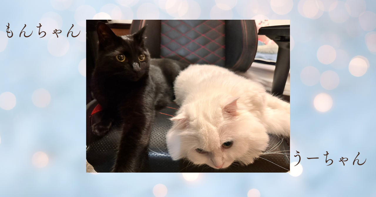 うーちゃん・もんちゃん🫧