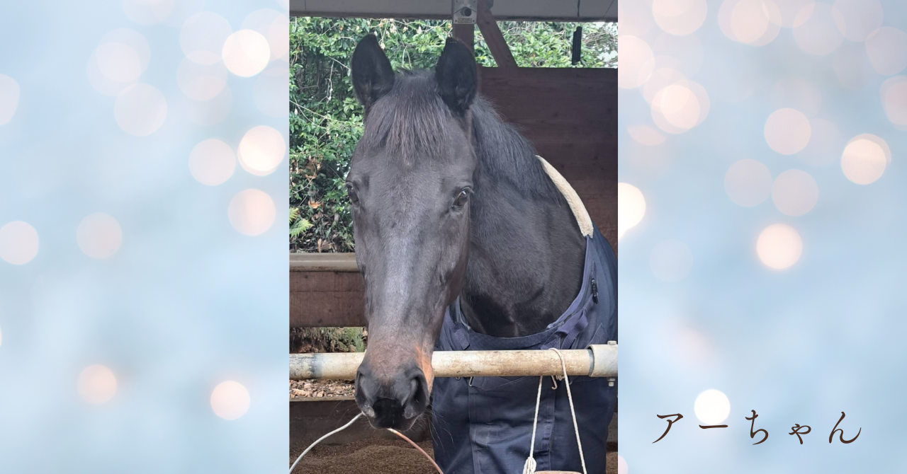 ガーネットアローラ