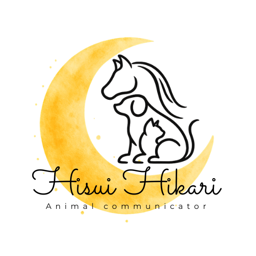 ひすいひかり🌙アニマルコミュニケーター