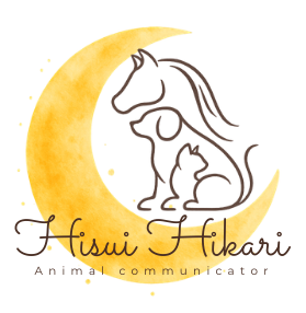 ひすいひかり🌙アニマルコミュニケーター