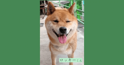 note記事の見出し画像