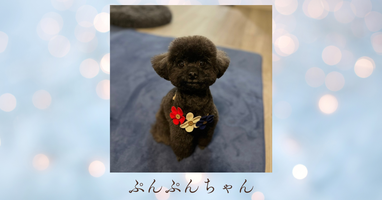 ぷんぷんちゃん