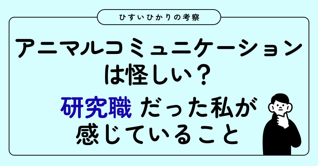 記事の画像