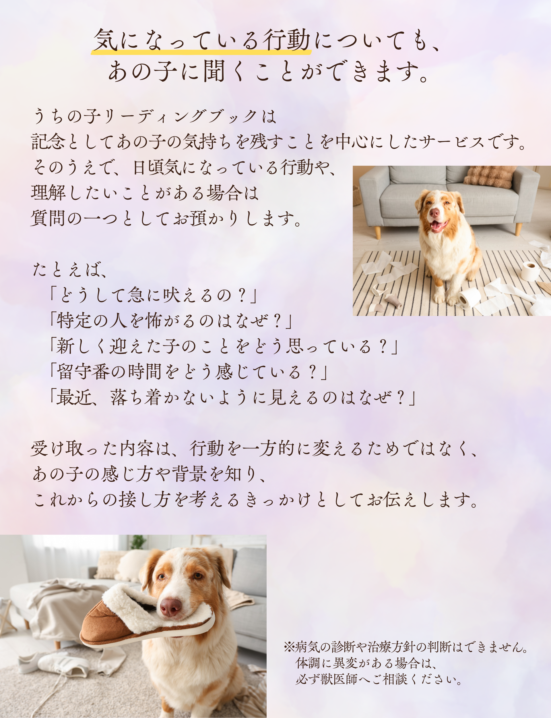 気になっている行動についても、
あの子に聞くことができます。

うちの子リーディングブックは
記念としてあの子の気持ちを残すことを中心にしたサービスです。

そのうえで、日頃気になっている行動や、
理解したいことがある場合は
質問の一つとしてお預かりします。

たとえば、

「どうして急に吠えるの？」
「特定の人を怖がるのはなぜ？」
「新しく迎えた子のことをどう思っている？」
「留守番の時間をどう感じている？」
「最近、落ち着かないように見えるのはなぜ？」

受け取った内容は、行動を一方的に変えるためではなく、
あの子の感じ方や背景を知り、
これからの接し方を考えるきっかけとしてお伝えします。

※病気の診断や治療方針の判断はできません。
体調に異変がある場合は、
必ず獣医師へご相談ください。