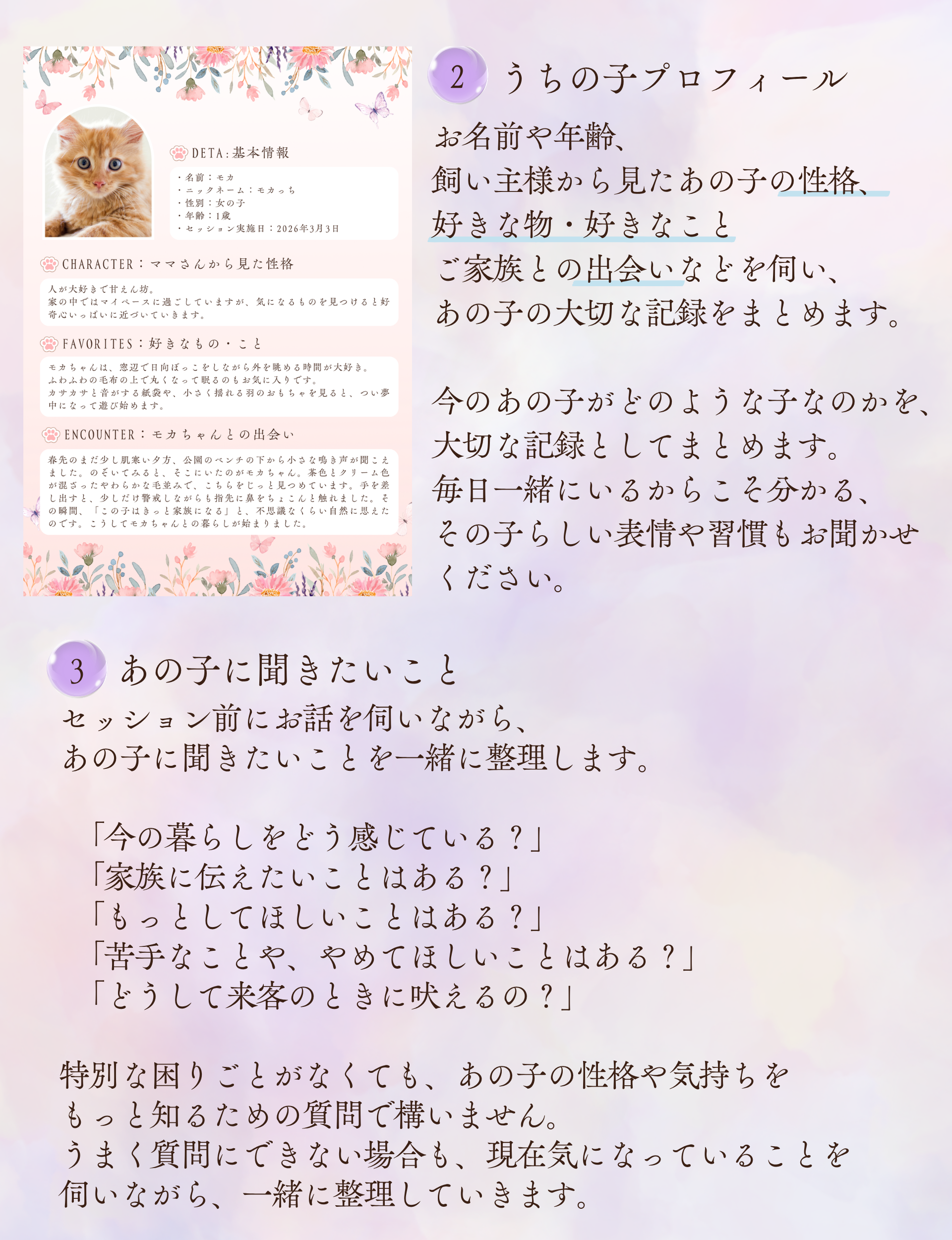 2
うちの子プロフィール

お名前や年齢、
飼い主様から見たあの子の性格、
好きな物・好きなこと
ご家族との出会いなどを伺い、
あの子の大切な記録をまとめます。

今のあの子がどのような子なのかを、
大切な記録としてまとめます。

毎日一緒にいるからこそ分かる、
その子らしい表情や習慣もお聞かせください。

3
あの子に聞きたいこと

セッション前にお話を伺いながら、
あの子に聞きたいことを一緒に整理します。

「今の暮らしをどう感じている？」
「家族に伝えたいことはある？」
「もっとしてほしいことはある？」
「苦手なことや、やめてほしいことはある？」
「どうして来客のときに吠えるの？」

特別な困りごとがなくても、あの子の性格や気持ちを
もっと知るための質問で構いません。

うまく質問にできない場合も、現在気になっていることを
伺いながら、一緒に整理していきます。