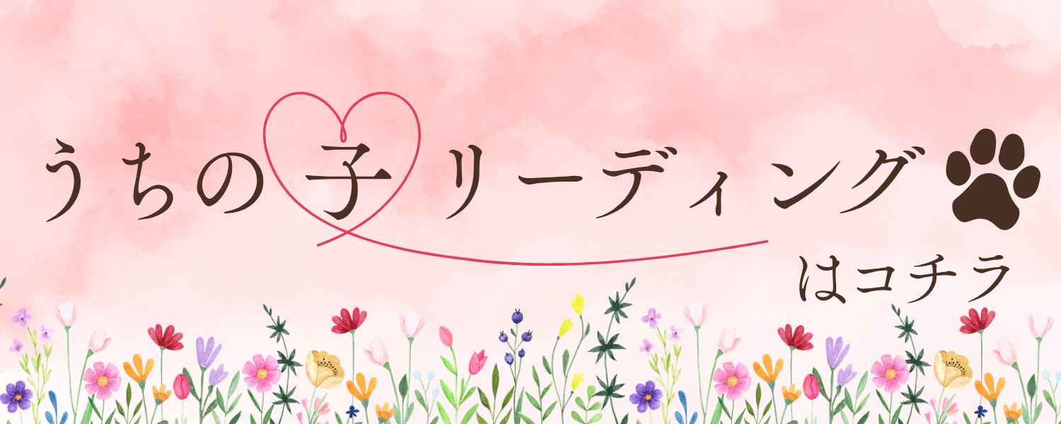 うちの子リーディングブック、うちの子リディングレポートの詳細情報はこちらをタップ