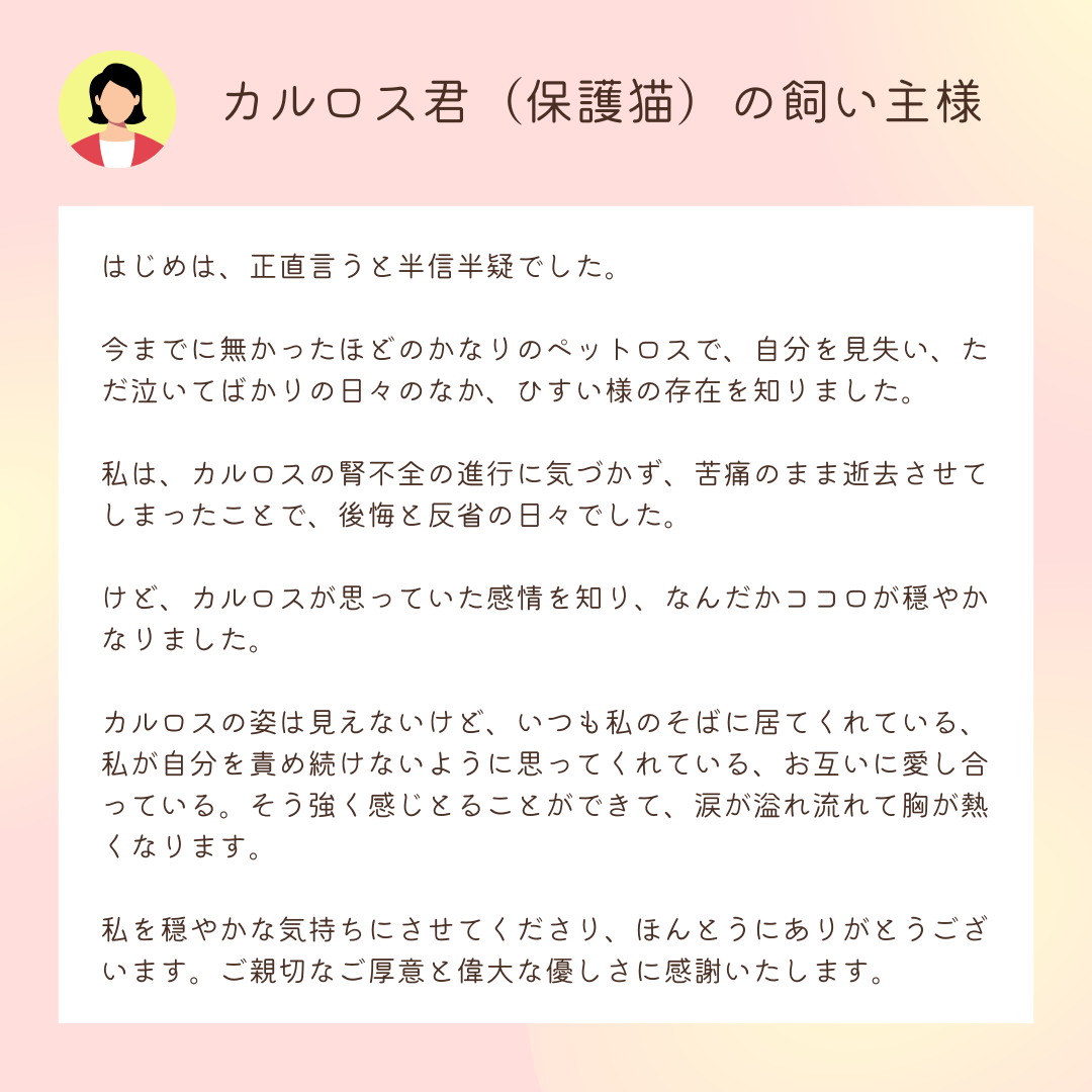 お客様の声：カルロス君（保護猫）の飼い主様

はじめは、正直言うと半信半疑でした。

今までに無かったほどのかなりのペットロスで、自分を見失い、ただ泣いてばかりの日々のなか、ひすい様の存在を知りました。

私は、カルロスの腎不全の進行に気づかず、苦痛のまま逝去させてしまったことで、後悔と反省の日々でした。

けど、カルロスが思っていた感情を知り、なんだかココロが穏やかなりました。

カルロスの姿は見えないけど、いつも私のそばに居てくれている、私が自分を責め続けないように思ってくれている、お互いに愛し合っている。そう強く感じとることができて、涙が溢れ流れて胸が熱くなります。

私を穏やかな気持ちにさせてくださり、ほんとうにありがとうございます。ご親切なご厚意と偉大な優しさに感謝いたします。