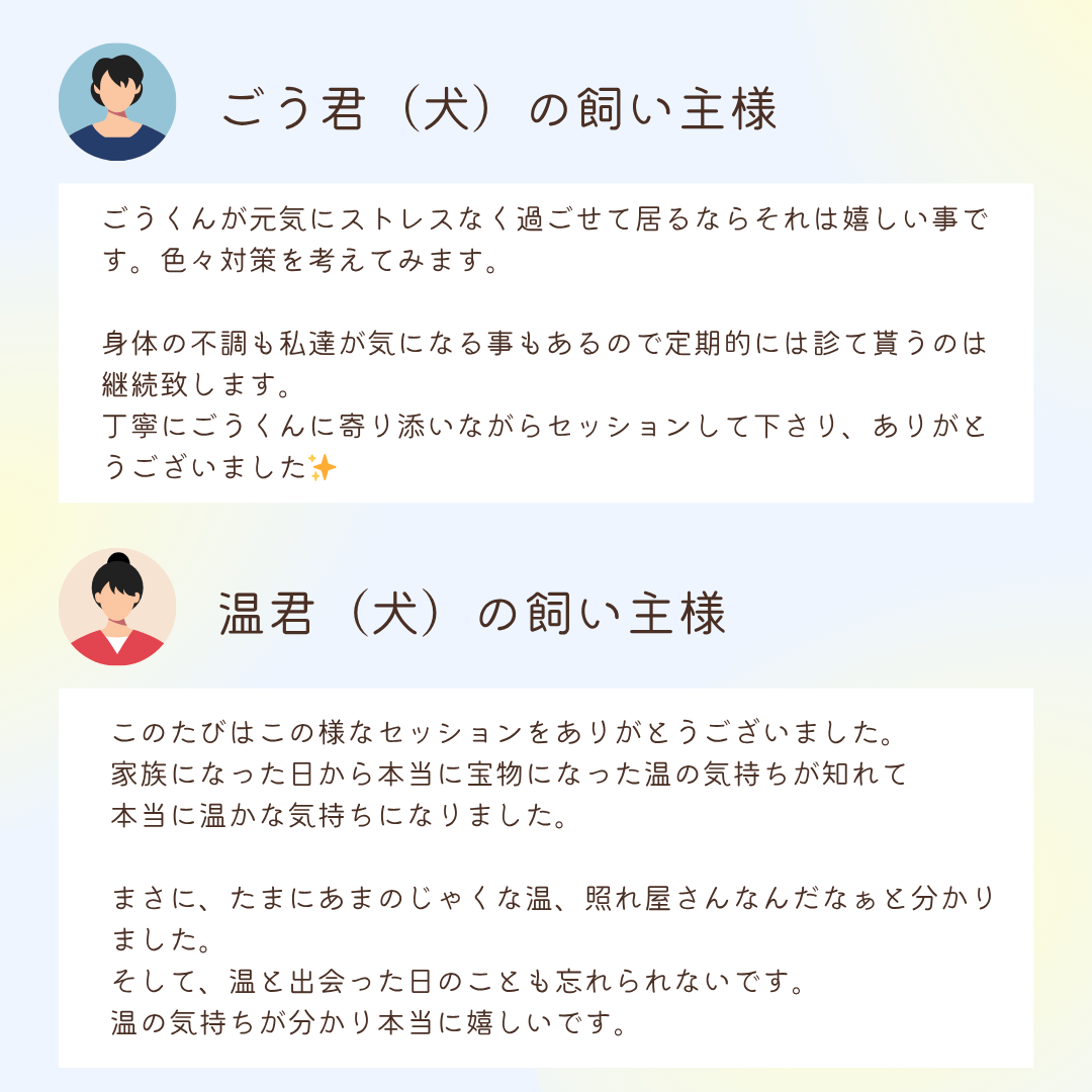 お客様の声：ごう君（犬）の飼い主様
ごうくんが元気にストレスなく過ごせて居るならそれは嬉しい事です。色々対策を考えてみます。

身体の不調も私達が気になる事もあるので定期的には診て貰うのは継続致します。
丁寧にごうくんに寄り添いながらセッションして下さり、ありがとうございました✨

お客様の声：温君（犬）の飼い主様
このたびはこの様なセッションをありがとうございました。
家族になった日から本当に宝物になった温の気持ちが知れて本当に温かな気持ちになりました。

まさに、たまにあまのじゃくな温、照れ屋さんなんだなぁと分かりました。
そして、温と出会った日のことも忘れられないです。
温の気持ちが分かり本当に嬉しいです。