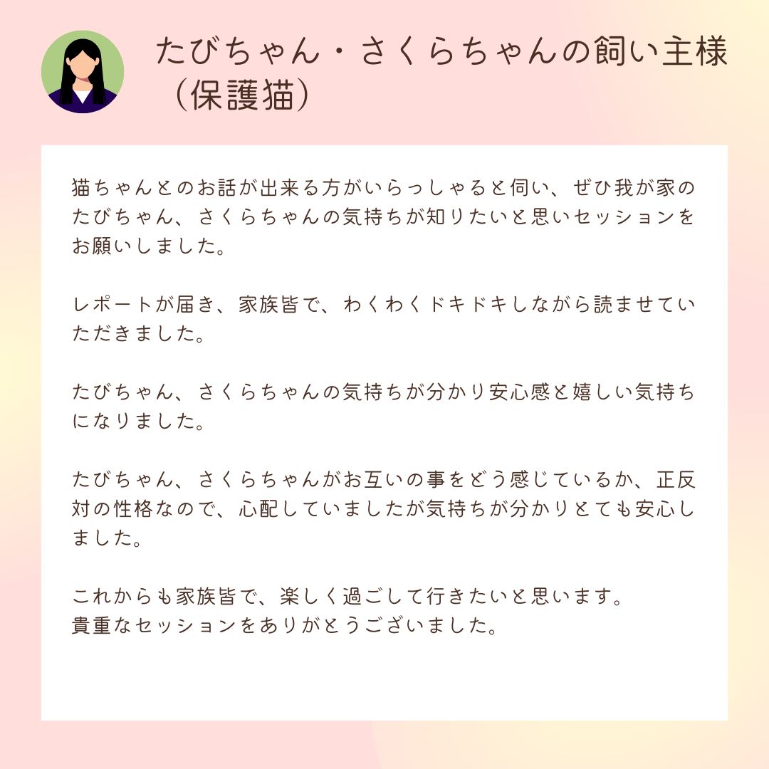 お客様の声：たびちゃん・さくらちゃんの飼い主様
（保護猫）

猫ちゃんとのお話が出来る方がいらっしゃると伺い、ぜひ我が家のたびちゃん、さくらちゃんの気持ちが知りたいと思いセッションをお願いしました。

レポートが届き、家族皆で、わくわくドキドキしながら読ませていただきました。

たびちゃん、さくらちゃんの気持ちが分かり安心感と嬉しい気持ちになりました。

たびちゃん、さくらちゃんがお互いの事をどう感じているか、正反対の性格なので、心配していましたが気持ちが分かりとても安心しました。

これからも家族皆で、楽しく過ごして行きたいと思います。
貴重なセッションをありがとうございました。