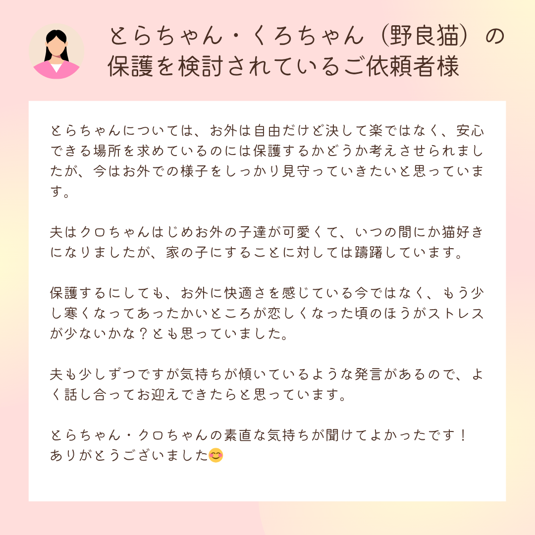 お客様の声：とらちゃん・くろちゃん（野良猫）の保護を検討されているご依頼者様

とらちゃんについては、お外は自由だけど決して楽ではなく、安心できる場所を求めているのには保護するかどうか考えさせられましたが、今はお外での様子をしっかり見守っていきたいと思っています。

夫はクロちゃんはじめお外の子達が可愛くて、いつの間にか猫好きになりましたが、家の子にすることに対しては躊躇しています。

保護するにしても、お外に快適さを感じている今ではなく、もう少し寒くなってあったかいところが恋しくなった頃のほうがストレスが少ないかな？とも思っていました。

夫も少しずつですが気持ちが傾いているような発言があるので、よく話し合ってお迎えできたらと思っています。

とらちゃん・クロちゃんの素直な気持ちが聞けてよかったです！
ありがとうございました😊