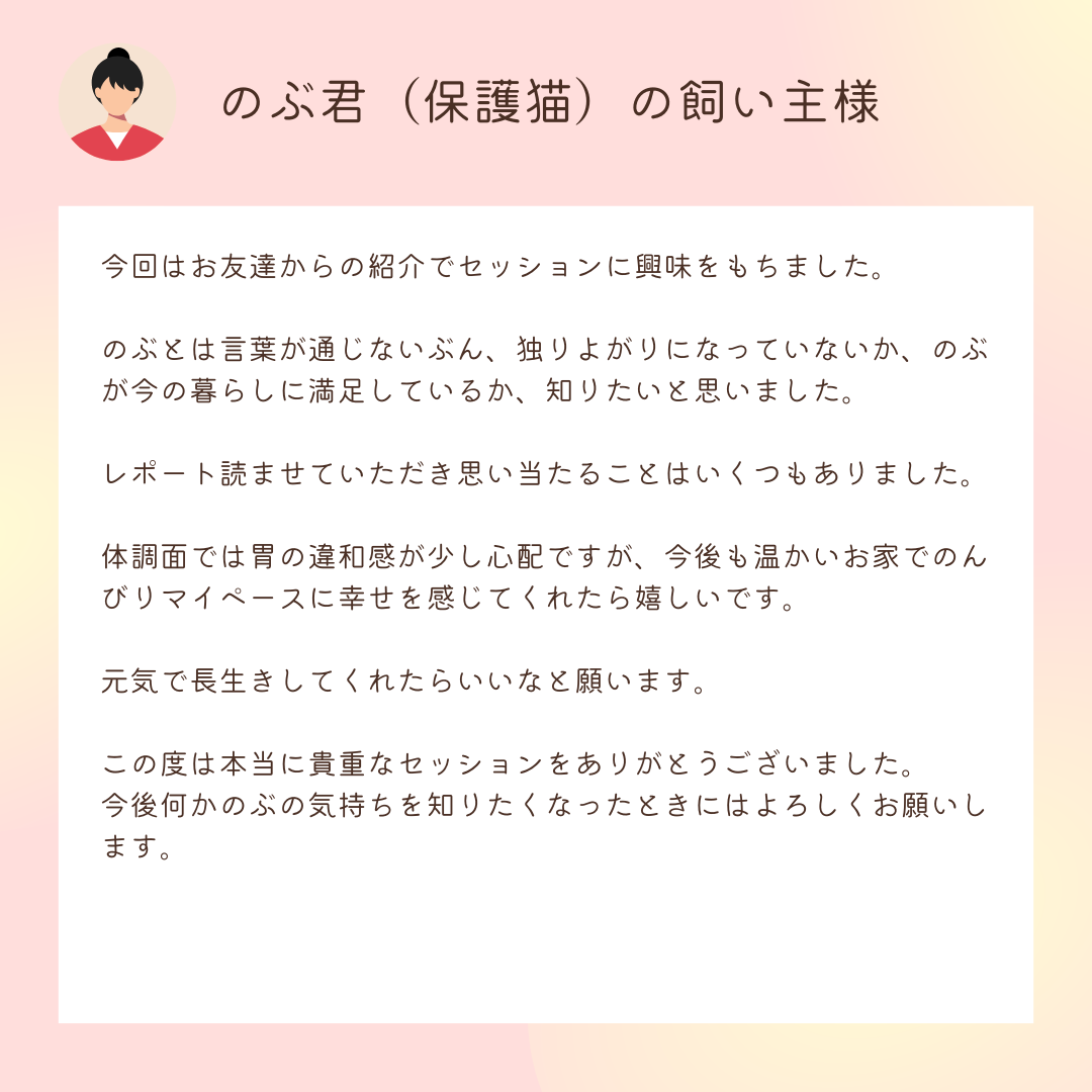 お客様の声：のぶ君（保護猫）の飼い主様

今回はお友達からの紹介でセッションに興味をもちました。

のぶとは言葉が通じないぶん、独りよがりになっていないか、のぶが今の暮らしに満足しているか、知りたいと思いました。

レポート読ませていただき思い当たることはいくつもありました。

体調面では胃の違和感が少し心配ですが、今後も温かいお家でのんびりマイペースに幸せを感じてくれたら嬉しいです。

元気で長生きしてくれたらいいなと願います。

この度は本当に貴重なセッションをありがとうございました。
今後何かのぶの気持ちを知りたくなったときにはよろしくお願いします。