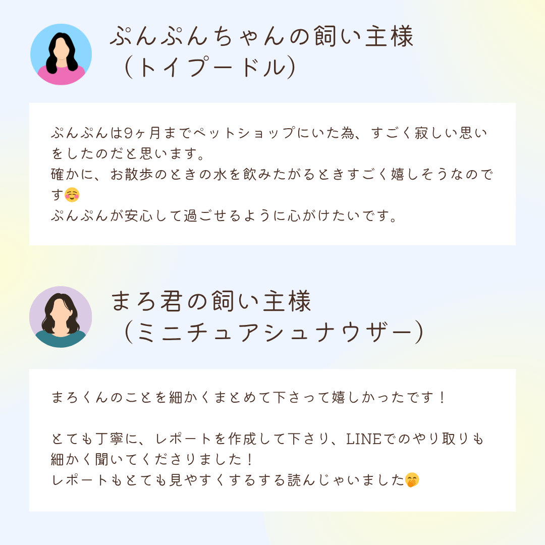 お客様の声：ぷんぷんちゃんの飼い主様（トイプードル）

ぷんぷんは9ヶ月までペットショップにいた為、すごく寂しい思いをしたのだと思います。
確かに、お散歩のときの水を飲みたがるときすごく嬉しそうなのです☺️
ぷんぷんが安心して過ごせるように心がけたいです。

お客様の声：まろ君の飼い主様
（ミニチュアシュナウザー）

まろくんのことを細かくまとめて下さって嬉しかったです！

とても丁寧に、レポートを作成して下さり、LINEでのやり取りも細かく聞いてくださりました！
レポートもとても見やすくするする読んじゃいました🤭