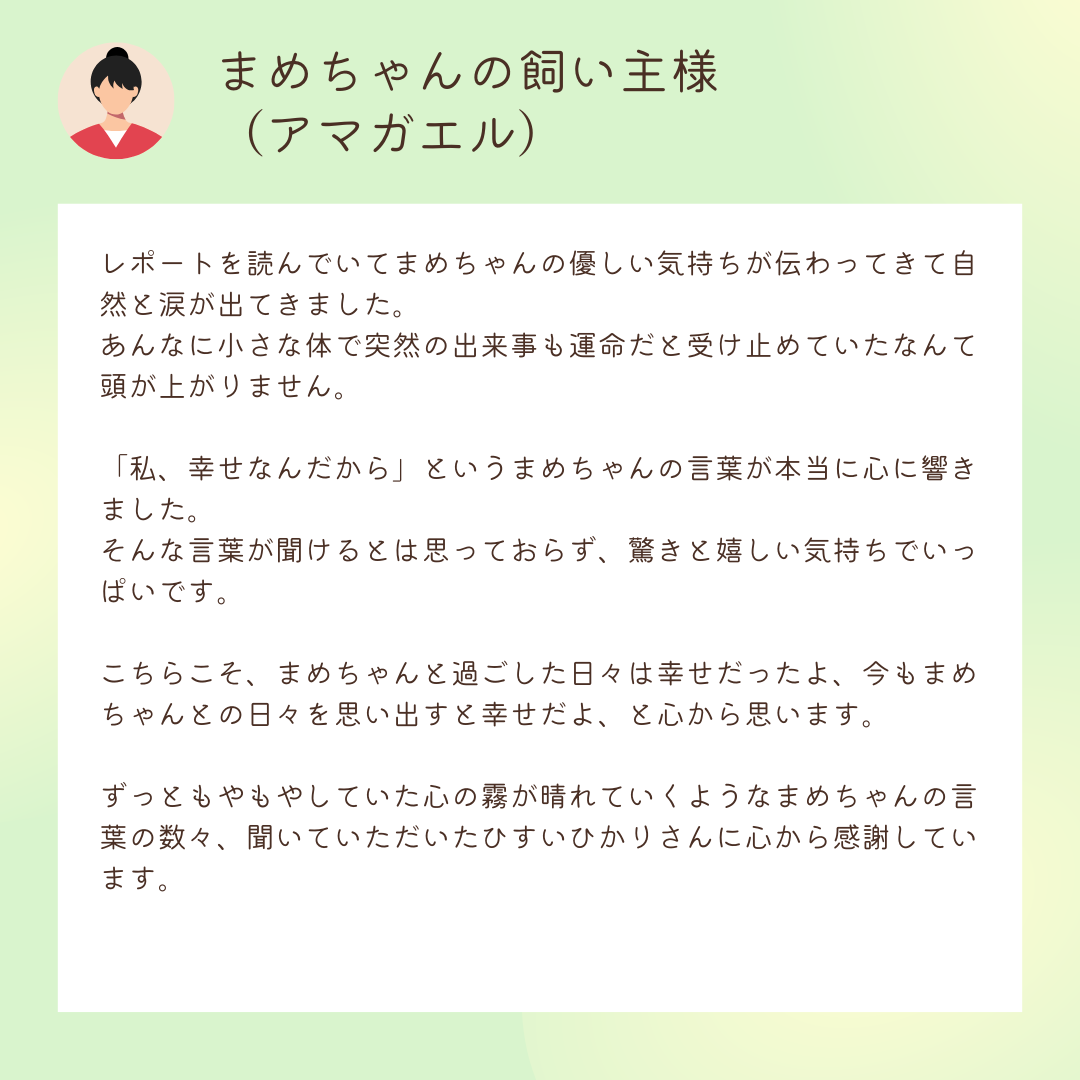 お客様の声：まめちゃんの飼い主様
（アマガエル）

レポートを読んでいてまめちゃんの優しい気持ちが伝わってきて自然と涙が出てきました。
あんなに小さな体で突然の出来事も運命だと受け止めていたなんて頭が上がりません。

「私、幸せなんだから」というまめちゃんの言葉が本当に心に響きました。
そんな言葉が聞けるとは思っておらず、驚きと嬉しい気持ちでいっぱいです。

こちらこそ、まめちゃんと過ごした日々は幸せだったよ、今もまめちゃんとの日々を思い出すと幸せだよ、と心から思います。

ずっともやもやしていた心の霧が晴れていくようなまめちゃんの言葉の数々、聞いていただいたひすいひかりさんに心から感謝しています。