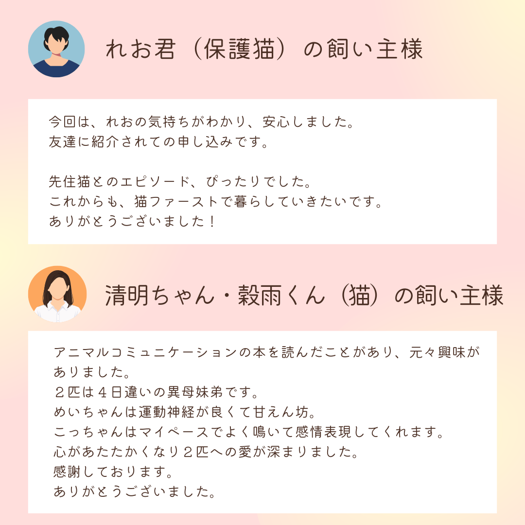 お客様の声：れお君（保護猫）の飼い主様
今回は、れおの気持ちがわかり、安心しました。
友達に紹介されての申し込みです。

先住猫とのエピソード、ぴったりでした。
これからも、猫ファーストで暮らしていきたいです。
ありがとうございました！

お客様の声：清明ちゃん・穀雨くん（猫）の飼い主様

アニマルコミュニケーションの本を読んだことがあり、元々興味がありました。
２匹は４日違いの異母妹弟です。
めいちゃんは運動神経が良くて甘えん坊。
こっちゃんはマイペースでよく鳴いて感情表現してくれます。
心があたたかくなり２匹への愛が深まりました。
感謝しております。
ありがとうございました。