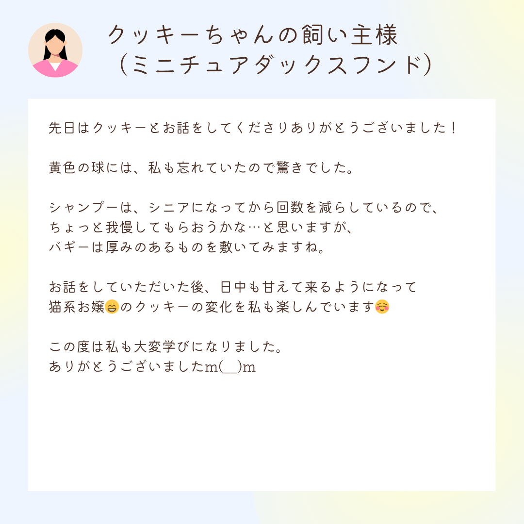 お客様の声：クッキーちゃんの飼い主様（ミニチュアダックスフンド）

先日はクッキーとお話をしてくださりありがとうございました！⁡
⁡
黄色の球には、私も忘れていたので驚きでした。⁡
⁡
シャンプーは、シニアになってから回数を減らしているので、ちょっと我慢してもらおうかな…と思いますが、⁡バギーは厚みのあるものを敷いてみますね。⁡
⁡
お話をしていただいた後、日中も甘えて来るようになって猫系お嬢😁のクッキーの変化を私も楽しんでいます☺️
⁡⁡
この度は私も大変学びになりました。⁡
ありがとうございましたm(__)m
