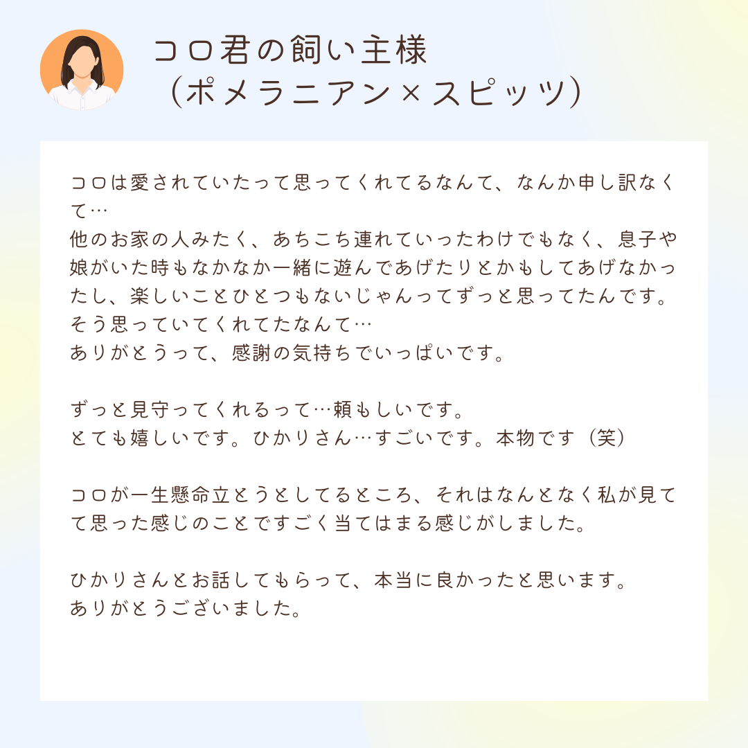 お客様の声：コロ君の飼い主様
（ポメラニアン×スピッツ）

コロは愛されていたって思ってくれてるなんて、なんか申し訳なくて…
他のお家の人みたく、あちこち連れていったわけでもなく、息子や娘がいた時もなかなか一緒に遊んであげたりとかもしてあげなかったし、楽しいことひとつもないじゃんってずっと思ってたんです。
そう思っていてくれてたなんて…
ありがとうって、感謝の気持ちでいっぱいです。

ずっと見守ってくれるって…頼もしいです。
とても嬉しいです。ひかりさん…すごいです。本物です（笑）

コロが一生懸命立とうとしてるところ、それはなんとなく私が見てて思った感じのことですごく当てはまる感じがしました。

ひかりさんとお話してもらって、本当に良かったと思います。
ありがとうございました。