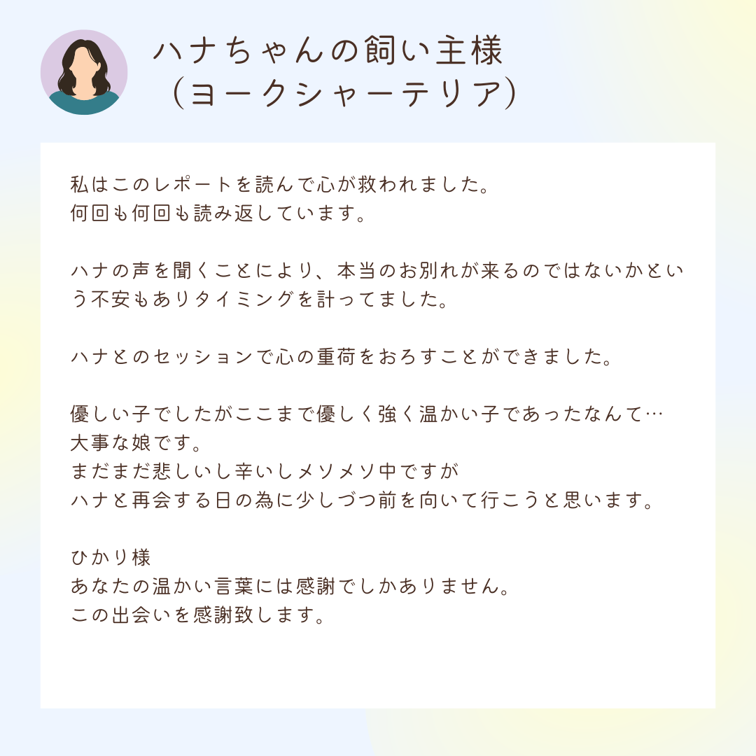 お客様の声：ハナちゃんの飼い主様（ヨークシャーテリア）
私はこのレポートを読んで心が救われました。
何回も何回も読み返しています。

ハナの声を聞くことにより、本当のお別れが来るのではないかという不安もありタイミングを計ってました。

ハナとのセッションで心の重荷をおろすことができました。

優しい子でしたがここまで優しく強く温かい子であったなんて…
大事な娘です。
まだまだ悲しいし辛いしメソメソ中ですがハナと再会する日の為に少しづつ前を向いて行こうと思います。

ひかり様
あなたの温かい言葉には感謝でしかありません。
この出会いを感謝致します。