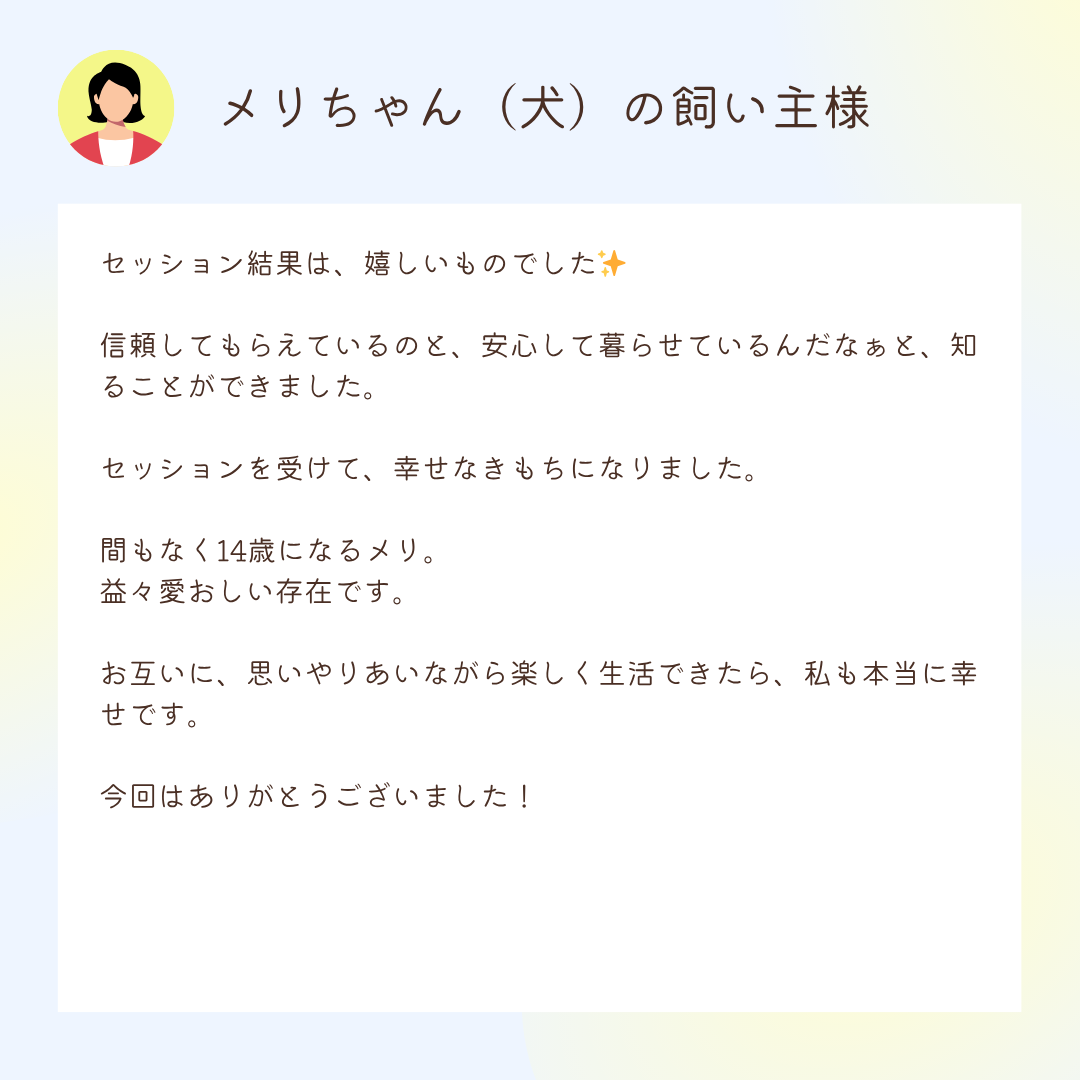 お客様の声：メリちゃん（犬）の飼い主様
セッション結果は、嬉しいものでした✨

信頼してもらえているのと、安心して暮らせているんだなぁと、知ることができました。

セッションを受けて、幸せなきもちになりました。

間もなく14歳になるメリ。
益々愛おしい存在です。

お互いに、思いやりあいながら楽しく生活できたら、私も本当に幸せです。

今回はありがとうございました！