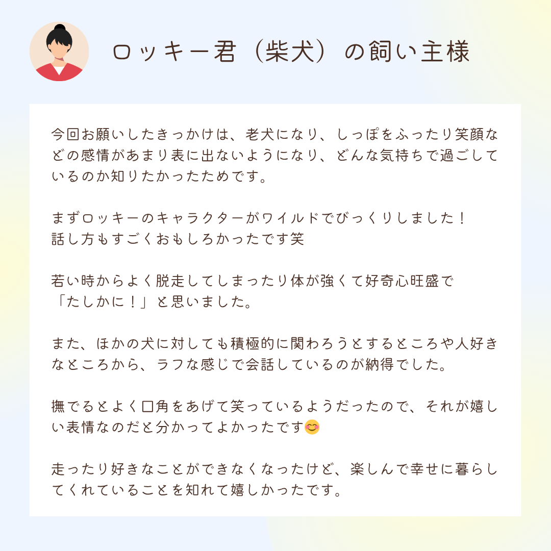 お客様の声：ロッキー君（柴犬）の飼い主様
今回お願いしたきっかけは、老犬になり、しっぽをふったり笑顔などの感情があまり表に出ないようになり、どんな気持ちで過ごしているのか知りたかったためです。

まずロッキーのキャラクターがワイルドでびっくりしました！
話し方もすごくおもしろかったです笑

若い時からよく脱走してしまったり体が強くて好奇心旺盛で「たしかに！」と思いました。

また、ほかの犬に対しても積極的に関わろうとするところや人好きなところから、ラフな感じで会話しているのが納得でした。

撫でるとよく口角をあげて笑っているようだったので、それが嬉しい表情なのだと分かってよかったです😊

走ったり好きなことができなくなったけど、楽しんで幸せに暮らしてくれていることを知れて嬉しかったです。