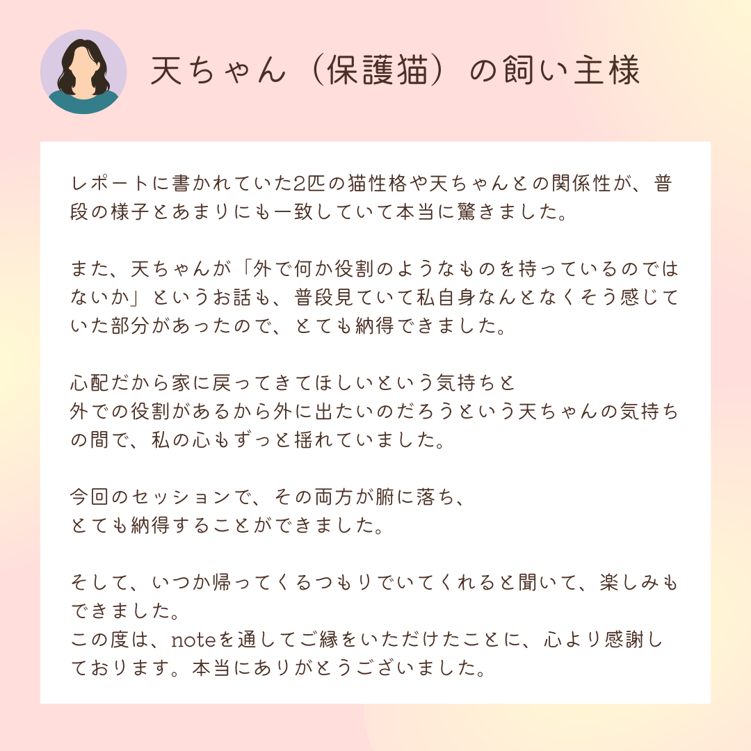 お客様の声：天ちゃん（保護猫）の飼い主様
レポートに書かれていた2匹の猫性格や天ちゃんとの関係性が、普段の様子とあまりにも一致していて本当に驚きました。

また、天ちゃんが「外で何か役割のようなものを持っているのではないか」というお話も、普段見ていて私自身なんとなくそう感じていた部分があったので、とても納得できました。

心配だから家に戻ってきてほしいという気持ちと外での役割があるから外に出たいのだろうという天ちゃんの気持ちの間で、私の心もずっと揺れていました。

今回のセッションで、その両方が腑に落ち、とても納得することができました。

そして、いつか帰ってくるつもりでいてくれると聞いて、楽しみもできました。
この度は、noteを通してご縁をいただけたことに、心より感謝しております。本当にありがとうございました。