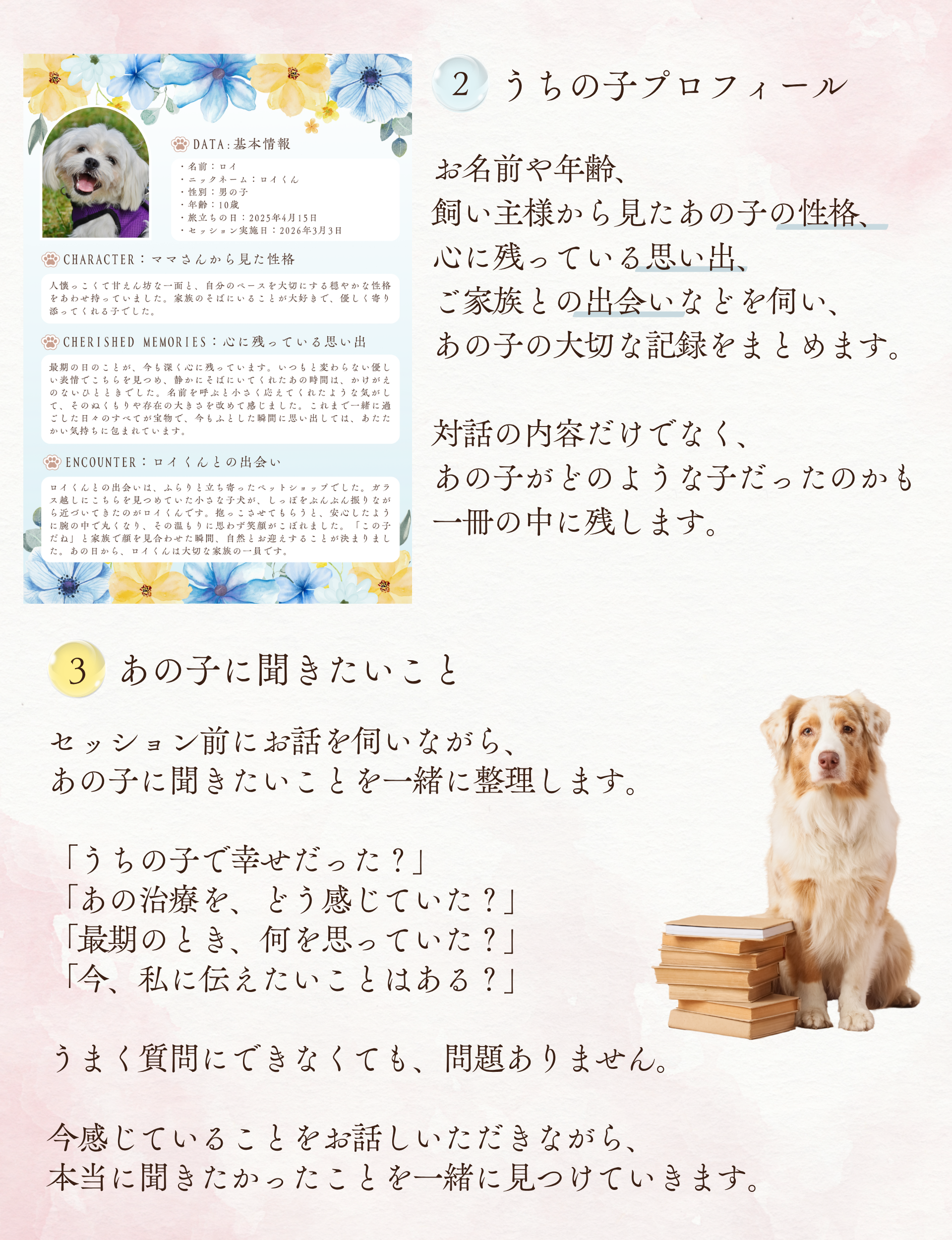 ２．うちの子プロフィール
お名前や年齢、飼い主様から見たあの子の性格、心に残っている思い出、ご家族との出会いなどを伺い、あの子の大切な記録をまとめます。
対話の内容だけでなく、あの子がどのような子だったのかも一冊の中に残します。

３．あの子に聞きたいこと
セッション前にお話を伺いながら、あの子に聞きたいことを一緒に整理します。
「うちの子で幸せだった？」
「あの治療を、どう感じていた？」
「最期のとき、何を思っていた？」
「今、私に伝えたいことはある？」
うまく質問にできなくても、問題ありません。

今感じていることをお話しいただきながら、本当に聞きたかったことを一緒に見つけていきます。